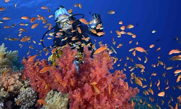 Sharm El Sheikh - Kızıldeniz Rotası Turu (4 Gece - 5 Gün) V2