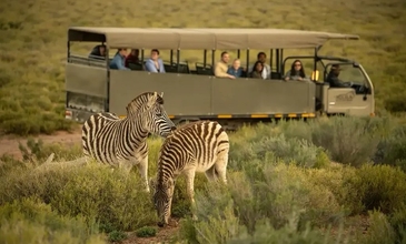 Güney Afrika Safari Turu Rotası