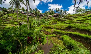 Balı & Ubud Turu Singapur Havayolları Ile